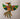 Green Bird Khayamiya